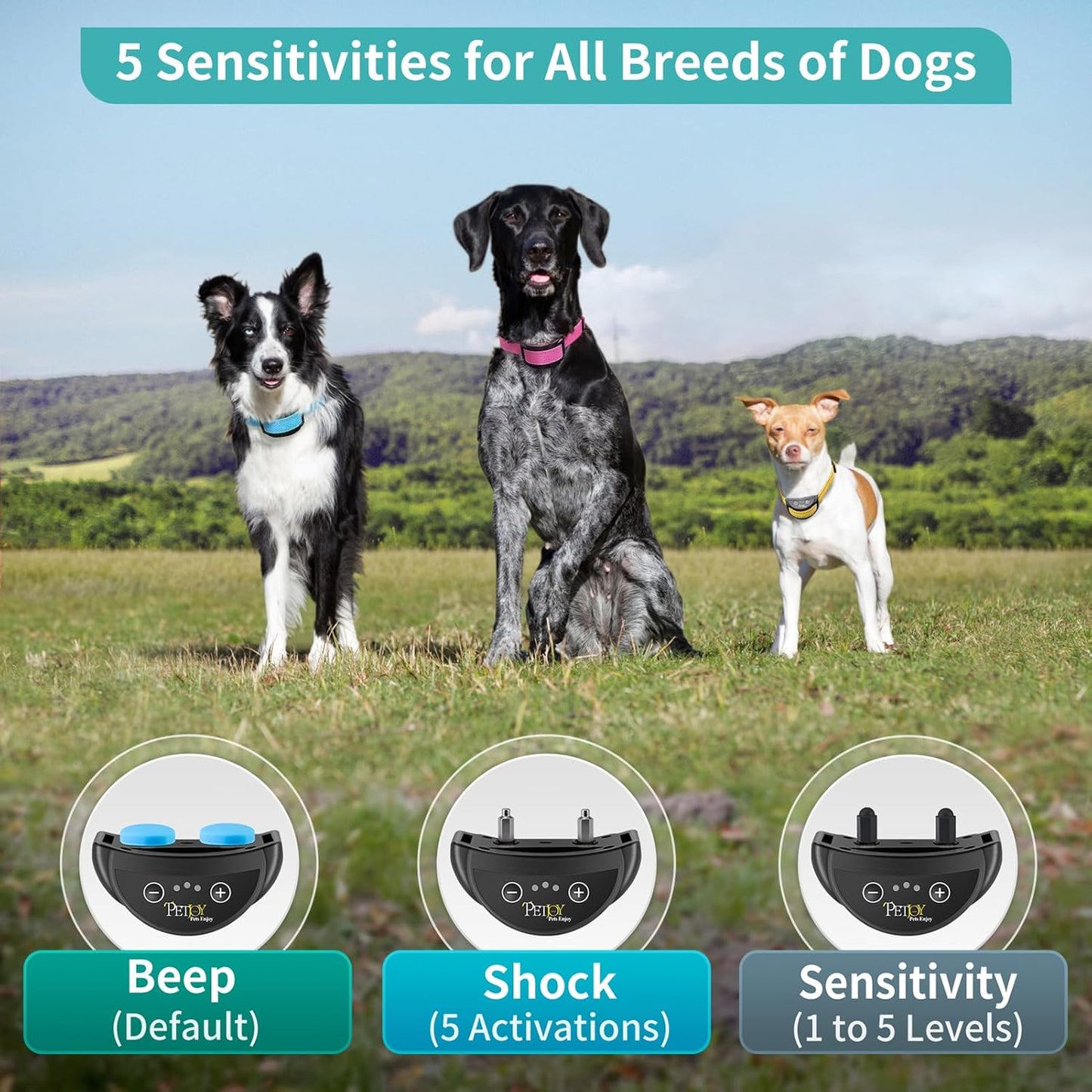 PetJoy Dog Bark Collar, Automatic Barking Collars, Bark Shock Collar with 5 Adjustable Levels of Sensitivity, Barking Training Collar IPX7 Waterproof, Bark Collar 3 Packs