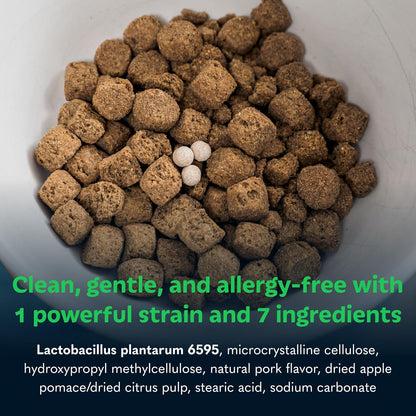 Tails ’N’ Tummies Probiotics for Dogs: 120 Tiny Tablets for Allergies, Itchy Skin, Diarrhea & Digestive Relief – Gentle, Clean Formula for Dogs (2 Bottles)