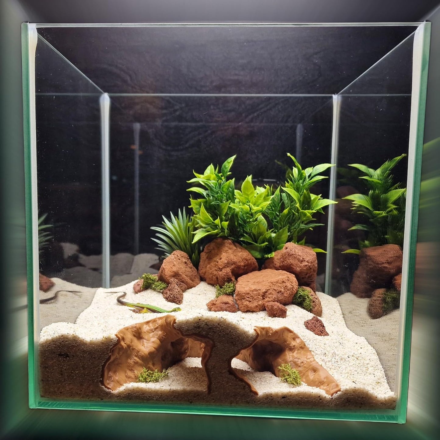 Aquarium Cave Hide for Pleco, Shrimp, Corydoras, and Reptiles, Natural Cave Design Terrarium Decoration