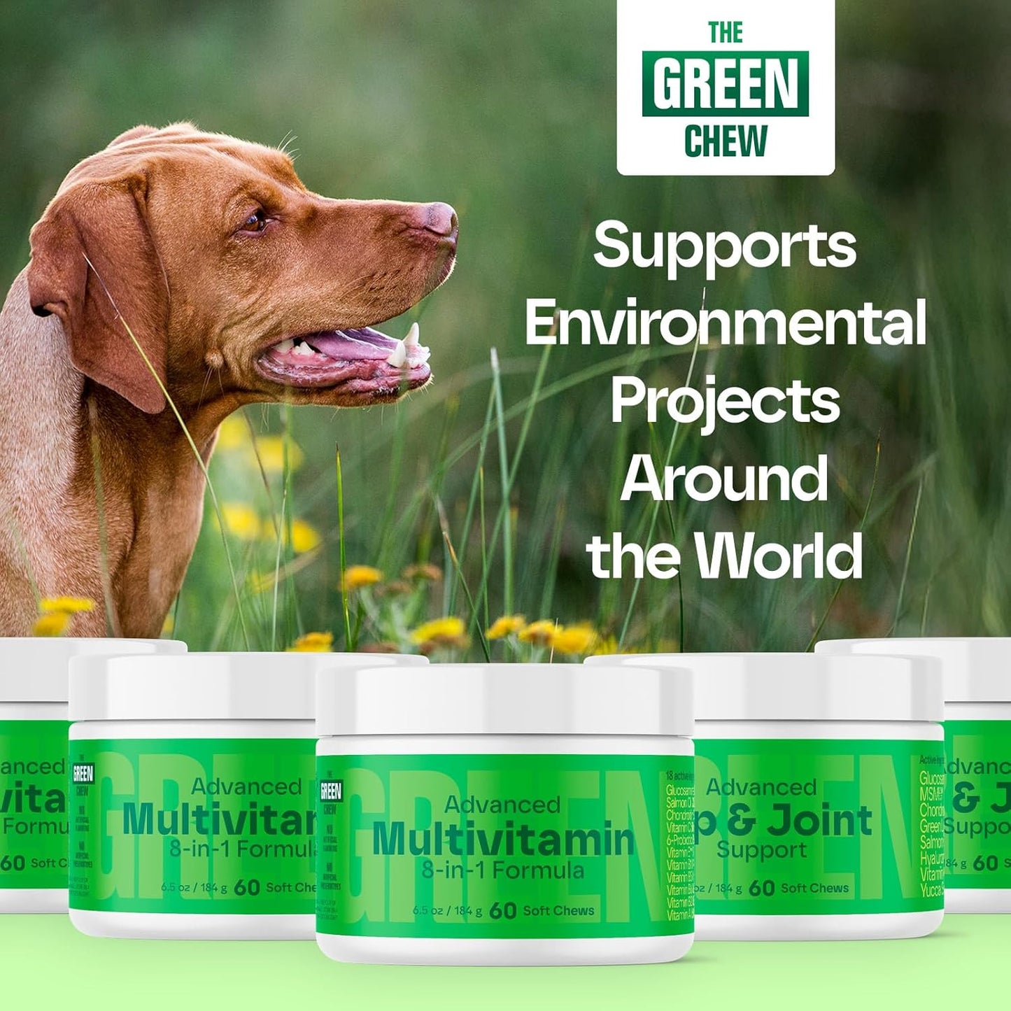 8-in-1 Advanced Multivitamin for Dogs - Omega-3, Joint & Bone Support, Skin & Coat Health - Dog Vitamins & Probiotics for Digestion - Dog Supplies Chicken Flavored 60 Soft Chews