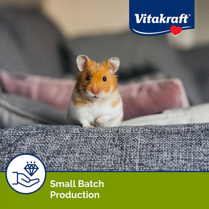 Vitakraft Mini Drops Cherry Banana Treats for Hamsters Rats Mice and Small Pets - Wholesome Small Animal Snacks with Real Fruit Flavor and Nutrient-Rich Goodness - 2.5 Ounce Pack