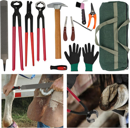 12Pcs Farrier Tools Kit Hoof Trimming Tools with Tool Bag, Hoof Nippers, Horseshoe Cutting Pliers, Goat Hoof Trimmers Shear, Hoof Rasp File, Horseshoe Brush, Hoof Knife, Hoof Hammer, Gloves