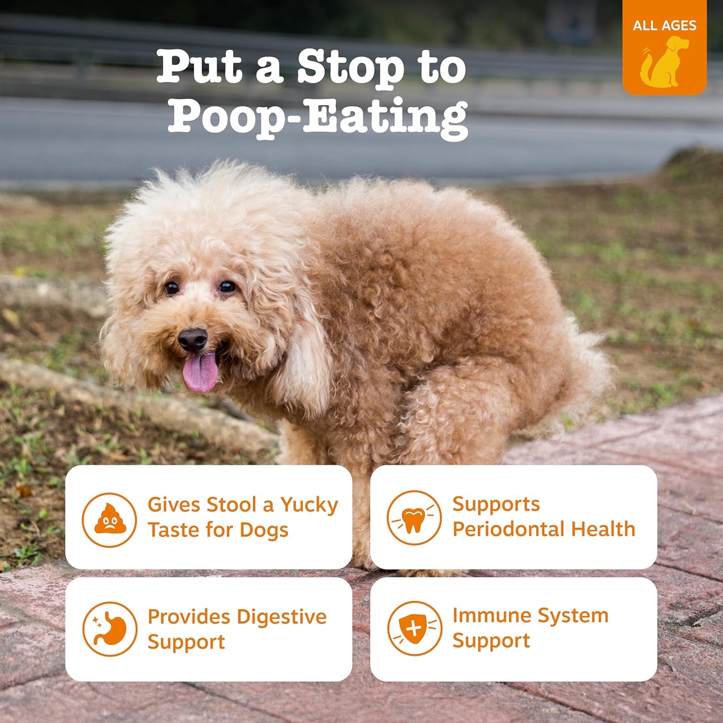 Zesty Paws Chew No Poo Bites for Dogs - Coprophagia Relief - Stool Eating Deterrent Soft Chews for Dogs - Gut, Periodontal & Immune System Support with Probiotics - Chicken - 90 Ct