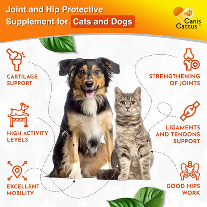 Canis&Cattus Liquid Glucosamine Dogs and Cats – Joint Supplement with MSM & Chondroitin – Mobility & Hip Support for Pets – Beef Flavor – 2oz