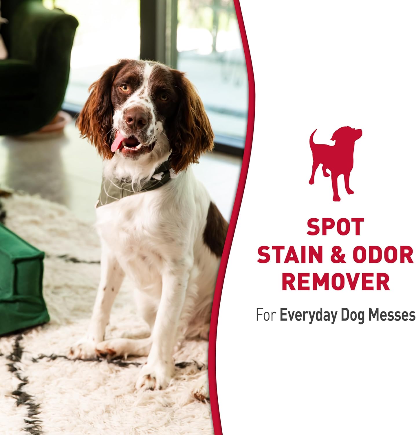 Nature’s Miracle Stain and Odor Remover Dog, 32 Ounces, Everyday Mess Enzymatic Odor Control Formula