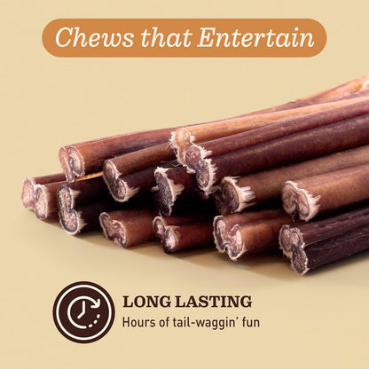 Odor-Free Bully Sticks (6", 25 Pack) – 100% Grass-Fed Beef Pizzle Dog Chews, Fully Digestible & Long-Lasting Dental Treats