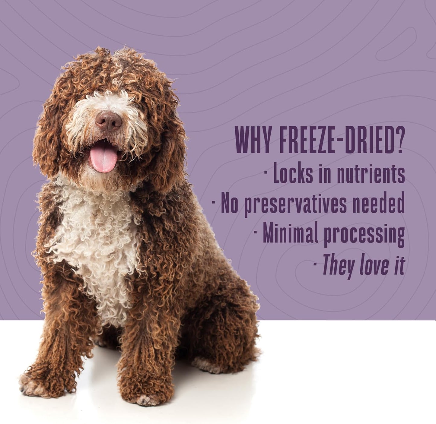 Whole Life Dog Just One Chicken Freeze Dried Dog Treats - Human Grade High Protein Food, Healthy Training Snacks, Freeze Dried Food Toppers, USA Made Natural Treats - 21 oz (Value Pack of 1)