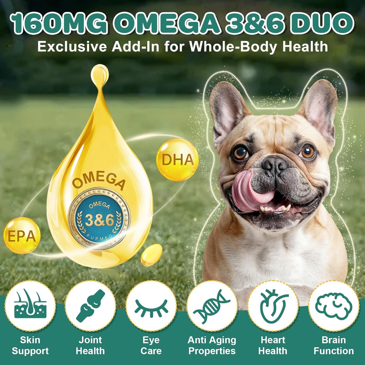 Probiotics for Dogs, Dog Probiotics with Digestive Enzymes, Prebiotics, Omega-3 & 6 and Vitamin for Dogs Digestive Health, 6 Billion CFUs for Gut Health and Immune Support, 180 Freeze-Dried Chews