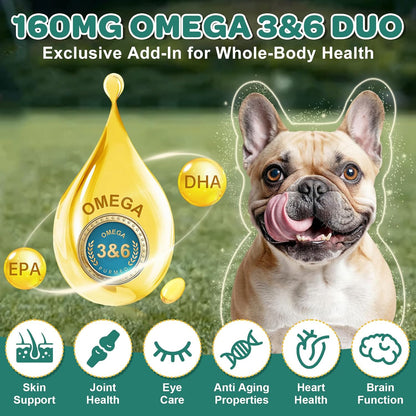 Probiotics for Dogs, Dog Probiotics with Digestive Enzymes, Prebiotics, Omega-3 & 6 and Vitamin for Dogs Digestive Health, 6 Billion CFUs for Gut Health and Immune Support, 180 Freeze-Dried Chews