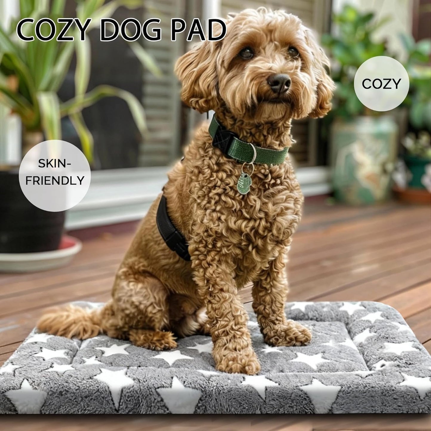 Dog Bed Mat, Reversible Crate Pad & Cute Dog Bed - Machine Washable Kennel Mat with Ultra Soft for Small Dogs (Cool/Warm), 24" x 18", Grey&Star