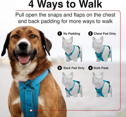Voyager Freestyle 4-in-1 Dog Harness - Patent Pending Adjustable Webbing Harness with Removable Padding for Small to Large Dogs by Best Pet Supplies - Turquoise, XS