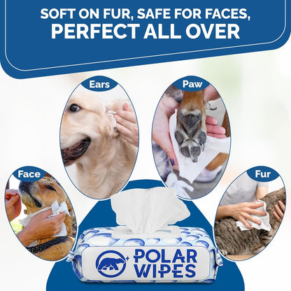 Truly Unscented Pet Wipes for Dogs & Cats | Multi-purpose Pet Wet Wipes for Grooming & Cleaning | Plant Based Dog Wipes for Paws, Fur, Face and Butt – Hypoallergenic (Pack of 400)