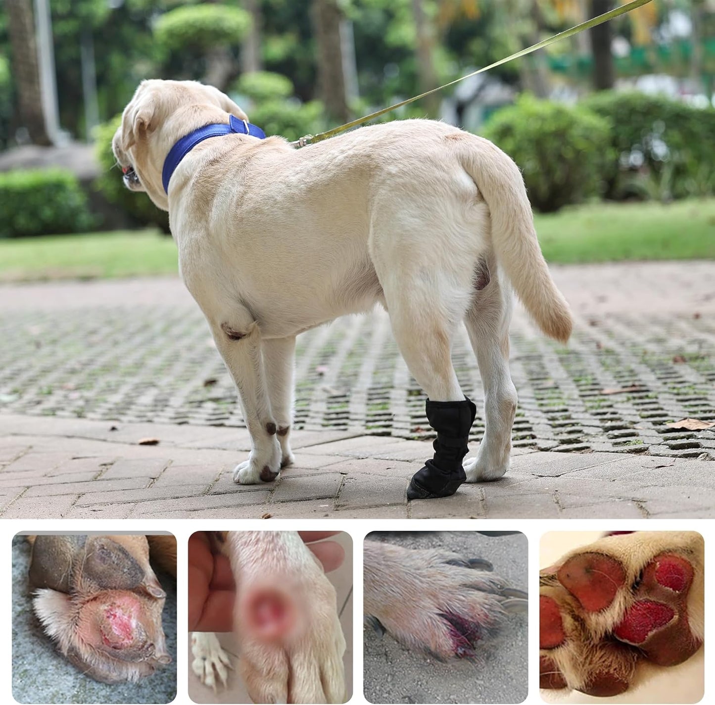 ETIAL Dog Paw Wound Recovery Boot, Breathable Dog Bootie for Injured Paw, Anti-Slip Dog Shoe with Self-Adhesive Strap, Dog Paw Protector for Outdoor Walking & Keep Dogs from Licking Wounds (XL)