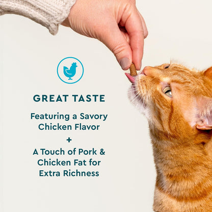 VetIQ Allergy Pro+ Relief for Cats, Cat Allergy Supplement & Vitamins with Probiotics, Fish Oil, Tart Cherry, Skin & Coat Support, Sneezing & Itching Relief, Seasonal Allergies, 3.7oz