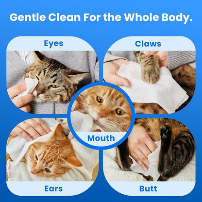 Unscented Pet Grooming Wipes for Dogs & Cats - 300 Count Dog Wipes for Cleaning Paws, Body, and Butt, Thick, Soft & Hypoallergenic