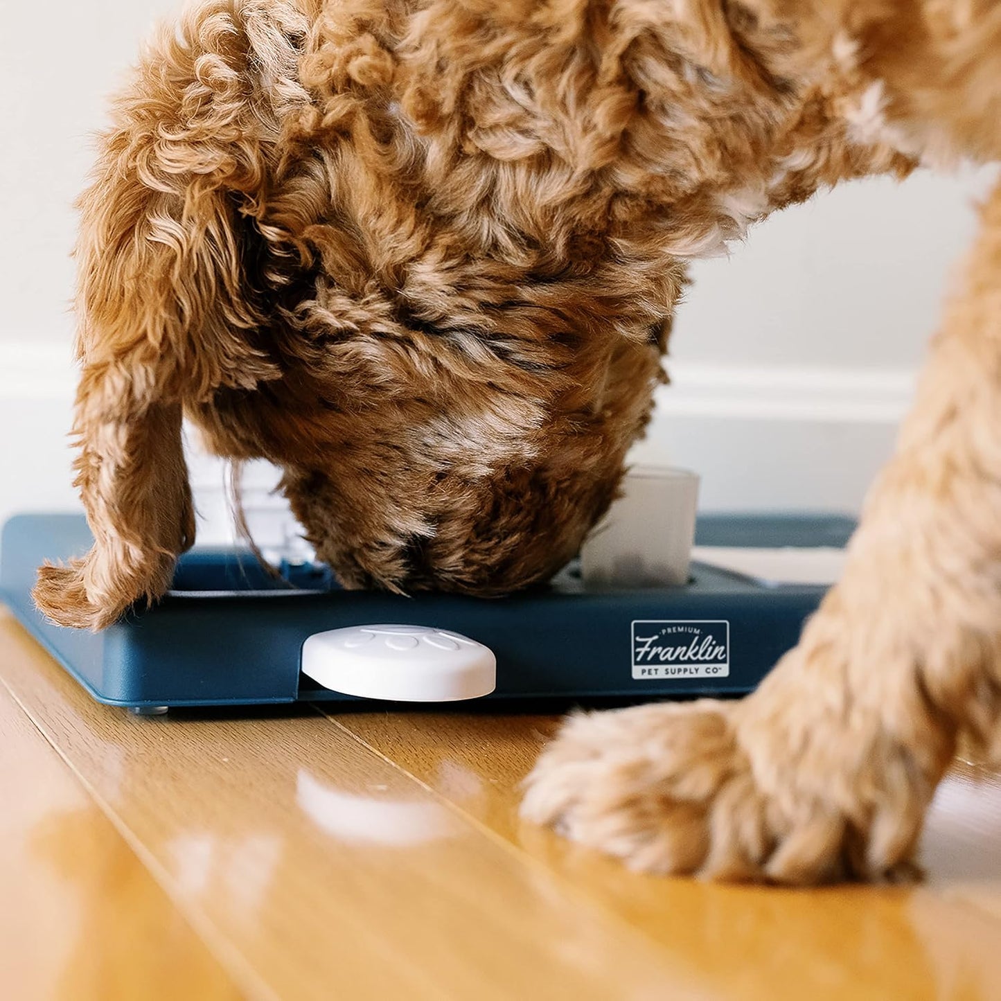 Franklin Pet Supply Co. Interactive Dog Toy + Puzzle Feeder - Dog Food + Treat Puzzle Game Set for Small, Medium + Large Dogs - Enrichment Training Toy + Slow Feeder for All Dogs