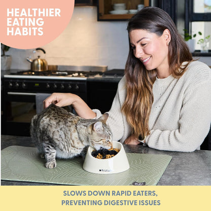 The Cat Ladies Slow Feeder - Healthy Feeding Bowl with Two Silicone Inserts - Help Pets Eat Slower - Control Eating Pace for Better Digestion - Feed Bowls Set for Dogs or Cats