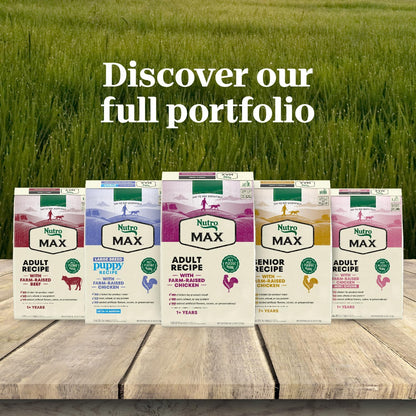 Nutro Max Adult Large Breed Dry Dog Food with Farm-Raised Chicken, 36 lb Bag