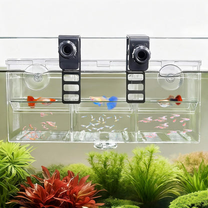 Triple-Chamber Aquarium Fish Breeder & Isolation Box, Transparent Hatching Incubator Tank with Suction Cups & Hook, Nursery for Livebearer Guppy Fry Breeding and Betta Fish, Shrimp Quarantine