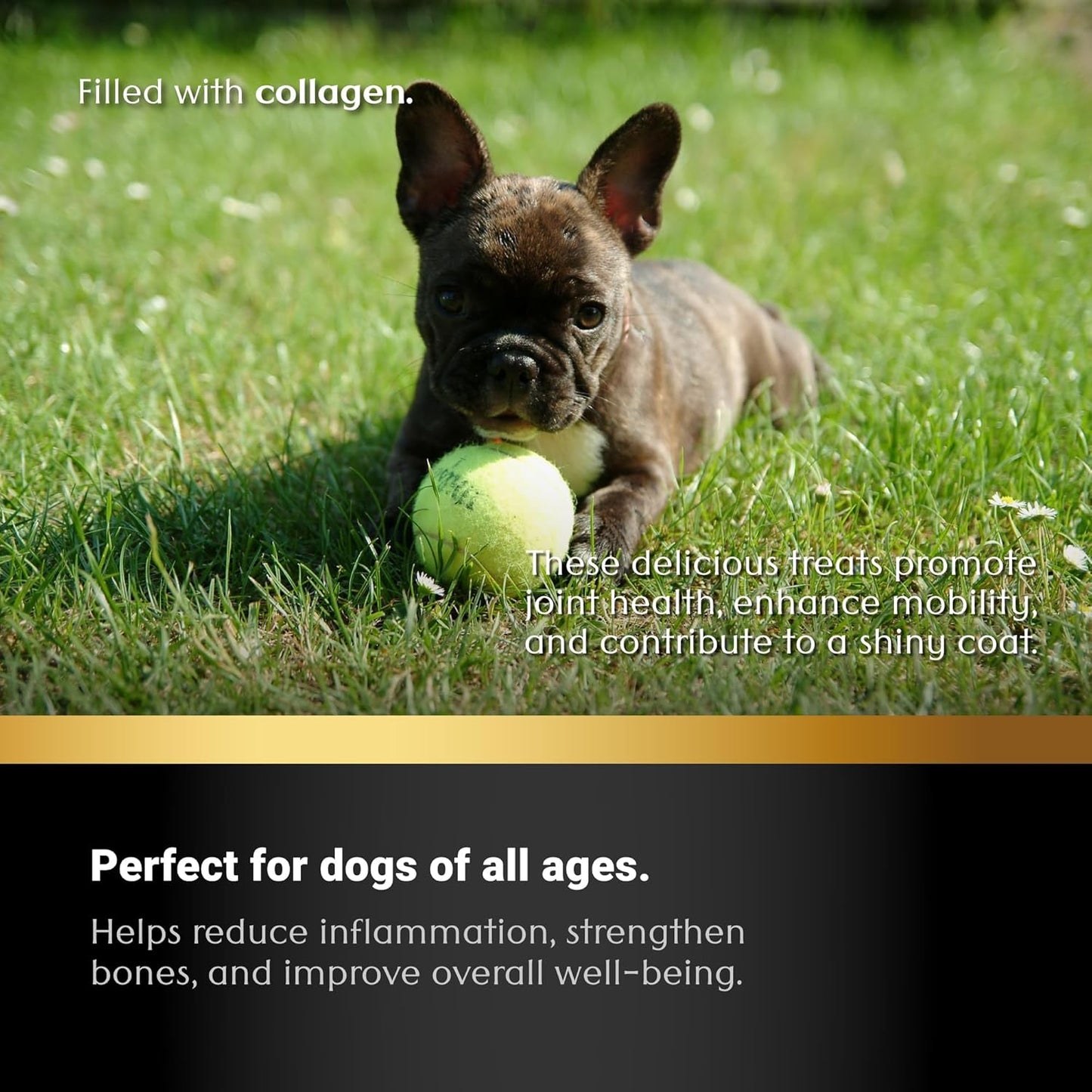 Collagen Sticks for Dogs, – Premium All-Natural, Odor-Free, High-Protein Chews, Supports Skin, Coat & Joint Health – Perfect for Medium & Large Dogs (6 Inch – 4 Pack)