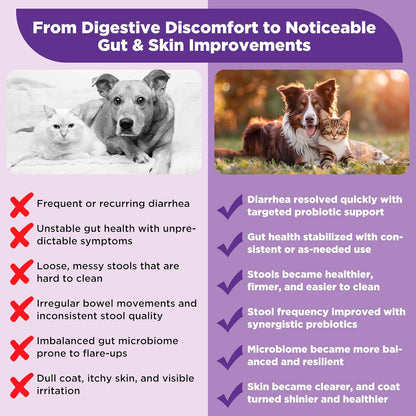 S.boulardii + FOS Pet Probiotic Powder for Dogs & Cats, 6.7 Billion CFU, Gut & Immune Support, Loose Stool & Digestive Upset Relief, Improves Stool Consistency, Skin Health, Veterinarian Recommended