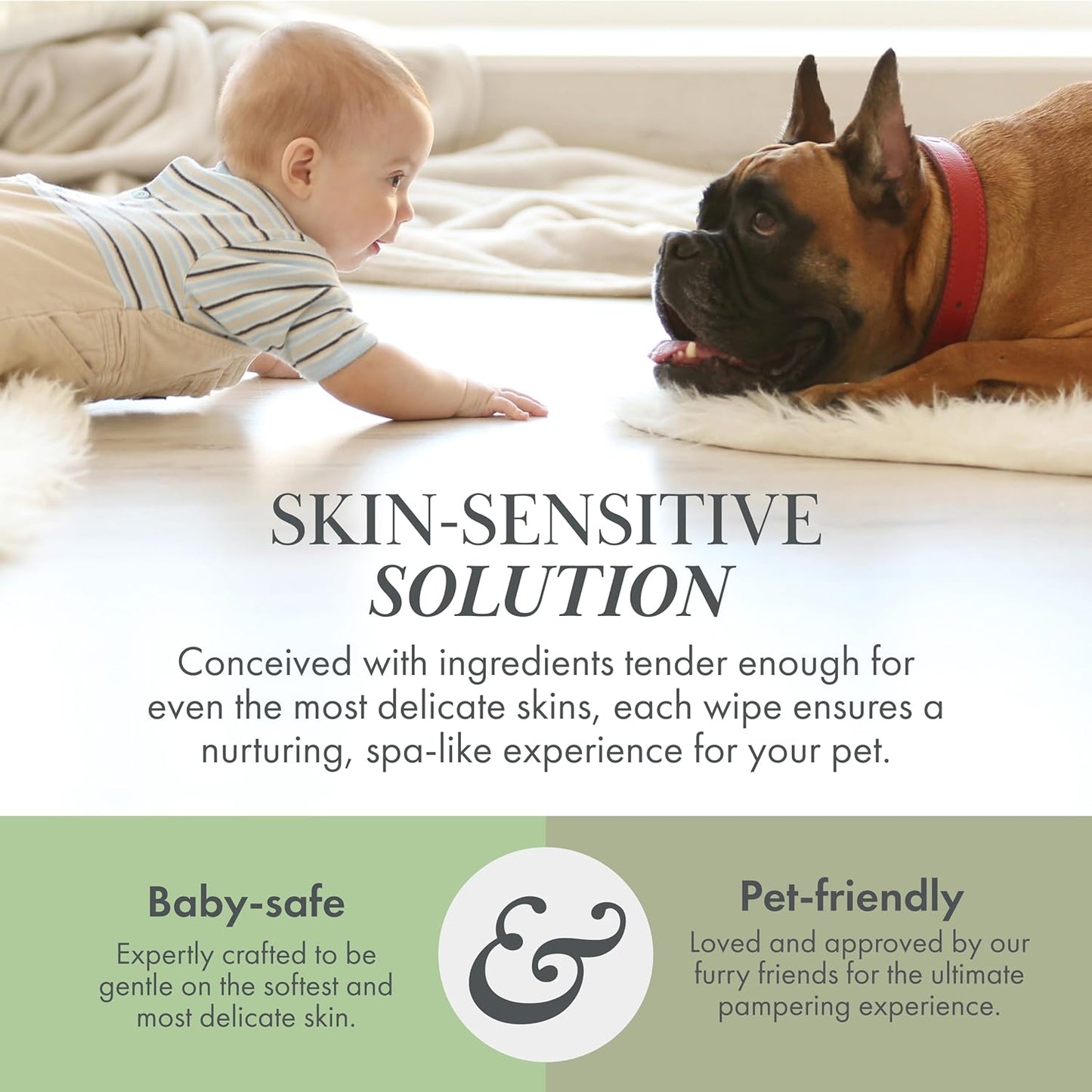 Nina Woof Pet Care Bundle: 70 Biodegradable Dog Wipes & Vegan Paw & Nose Balm - Aloe Vera, Shea Butter, Natural Grooming for Paws, Face & Body