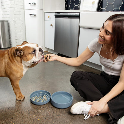Should We Go? - The Slowdown Bowl Silicone Slow Feeder for Dogs & Puppies, Slow Eating, Modern Lick Mat Design, Reduces Gulping, Fits 2 Cups 7.5” Across x 1.5” Tall, Mealtime Challenge, Medium-Sand