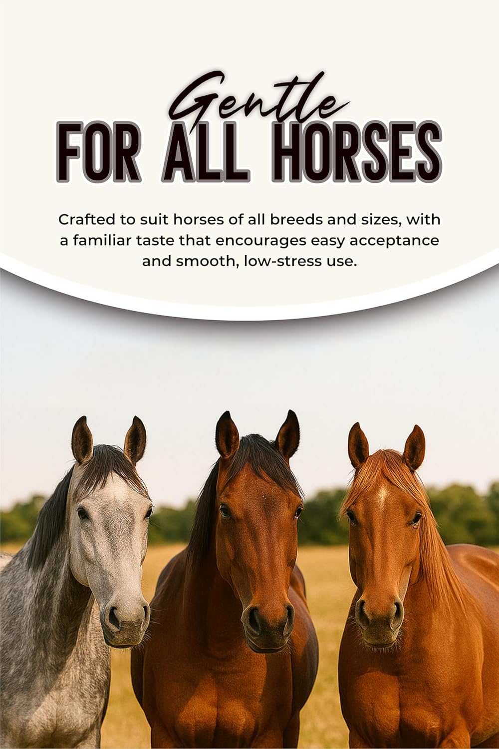 Horse Paste 1.87% – Apple Flavored Wormer – 6.08g Tube – Treats Up to 1250 lb