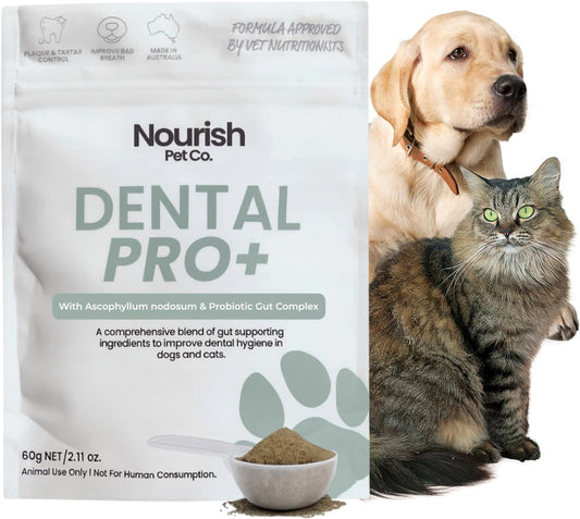 Nourish Pet Co. Dental Pro+ Pet Dental Powder, Cat & Dog Teeth Cleaning Powder, Breath Freshener, Fights Plaque and Tartar, Natural Ingredient Food Topper, 60 Servings