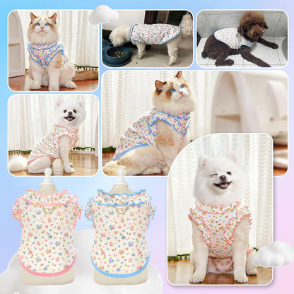 2 Pack Dog Shirt for Small Dogs Breathable Summer Clothes with Ruffled Sleeves Dog Tshirt Stretchy Pet Tee for Puppies Sphynx Cats Kitten Frenchie Dachshund(Pink&Blue,Medium)