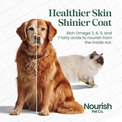 Wellness Bundle for Dogs or Cats – Prebiotic & Probiotics for Digestion & Immune Support – Phytoplankton Omega & Multi Supplement for Overall Health & Energy