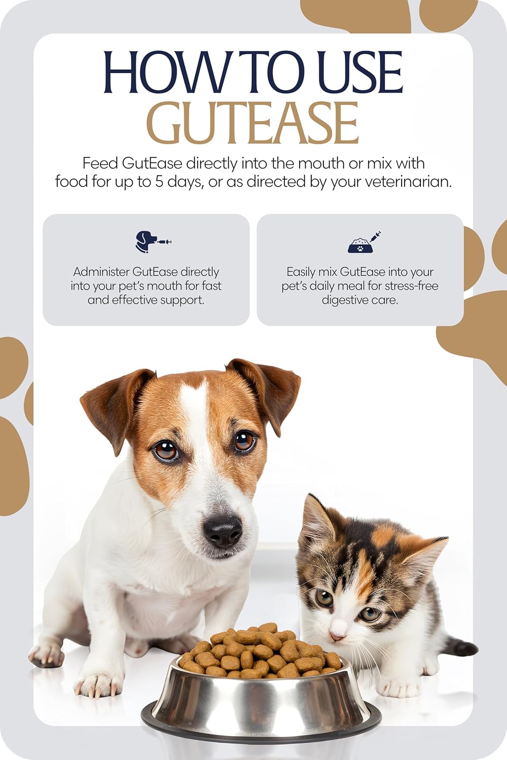 Equinavia GutEase Digestive Support Paste for Dogs & Cats – with Probiotics, Prebiotics, Glutamine, and Pectin – Easy Oral Supplement in 15ml or 30ml Syringe - 1 oz (30 ml) - 1 oz