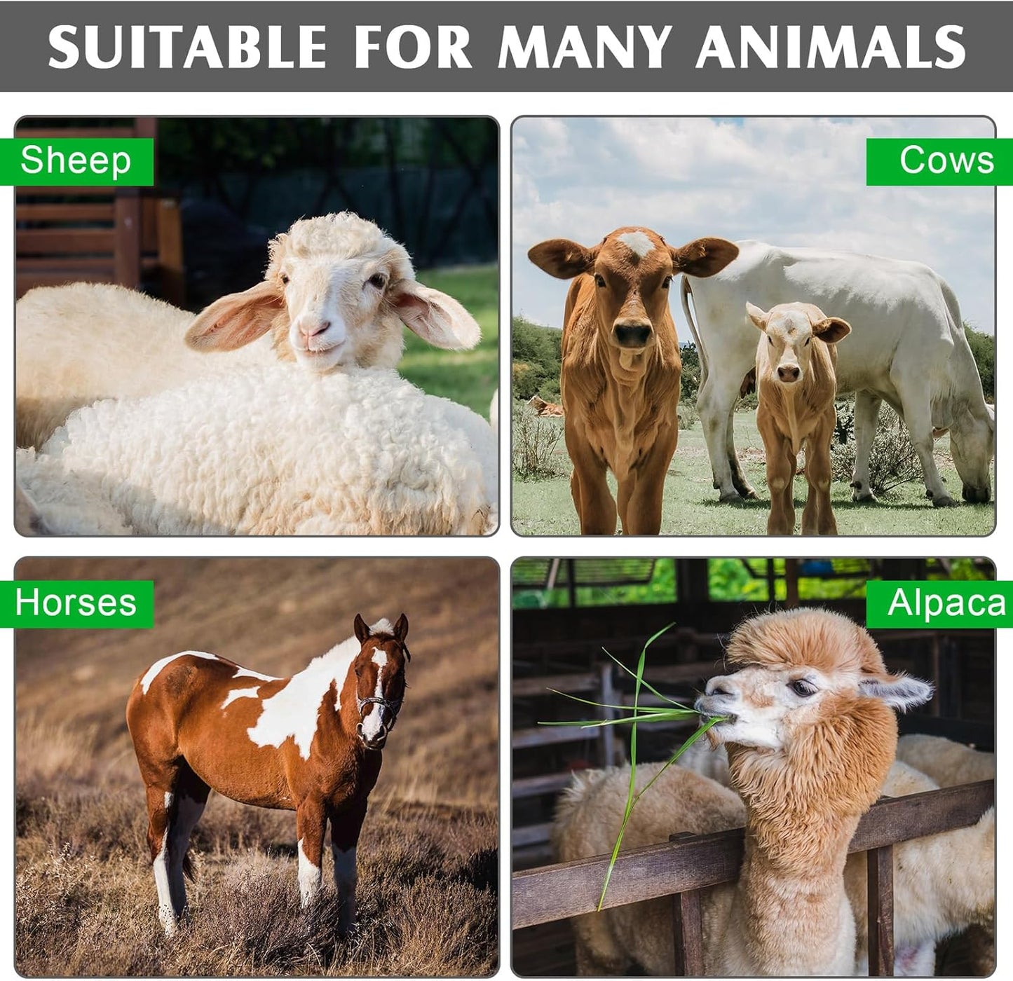 2 Pack Horse Feed Bags 13 Inch in Depth Vented Leather Canvas Horse Food Bucket with Adjustable Strap Waterproof Hay Feeding Supplies, Safety and No-Spill Flap Design