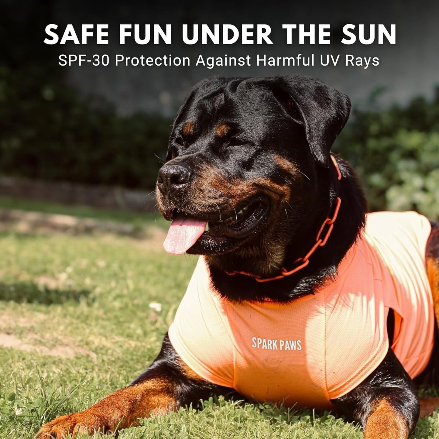 Spark Paws Sunblock Dog T-Shirt, SPF30 Protection, Lightweight Breathable Quick Dry for Dogs with Sensitive Skin - Purple & Peach (Set of 2) - 2XL
