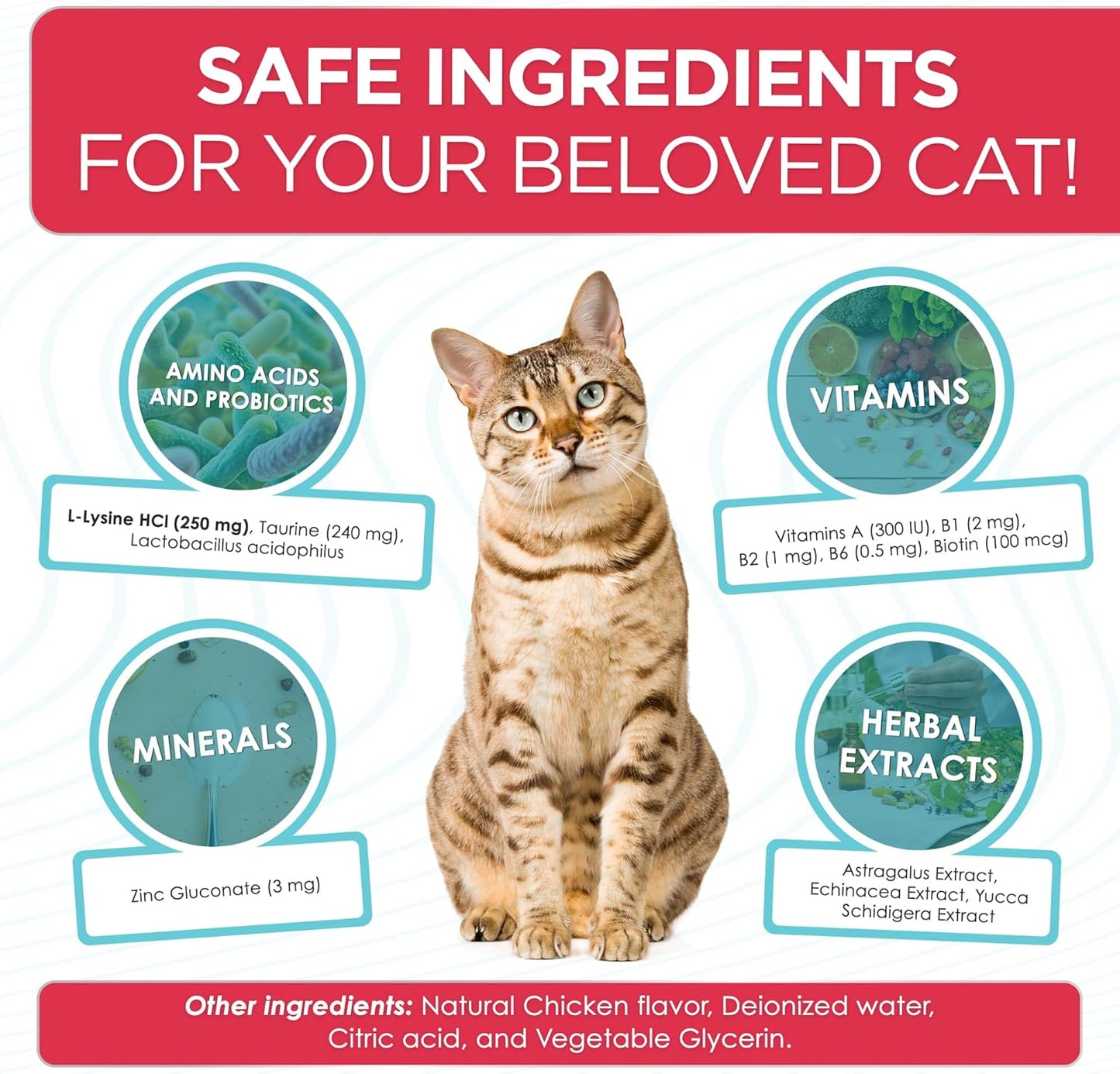 Liquid L Lysine for Cats – Aid for Watery Eyes, Sneezing & Allergy – Supplement with Taurine & Vitamins for All Breeds – Cat Probiotic for Digestion Care – Natural Chicken Flavor – 2 oz + 2 oz Pack