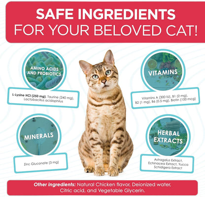 Liquid L Lysine for Cats – Aid for Watery Eyes, Sneezing & Allergy – Supplement with Taurine & Vitamins for All Breeds – Cat Probiotic for Digestion Care – Natural Chicken Flavor – 2 oz + 2 oz Pack