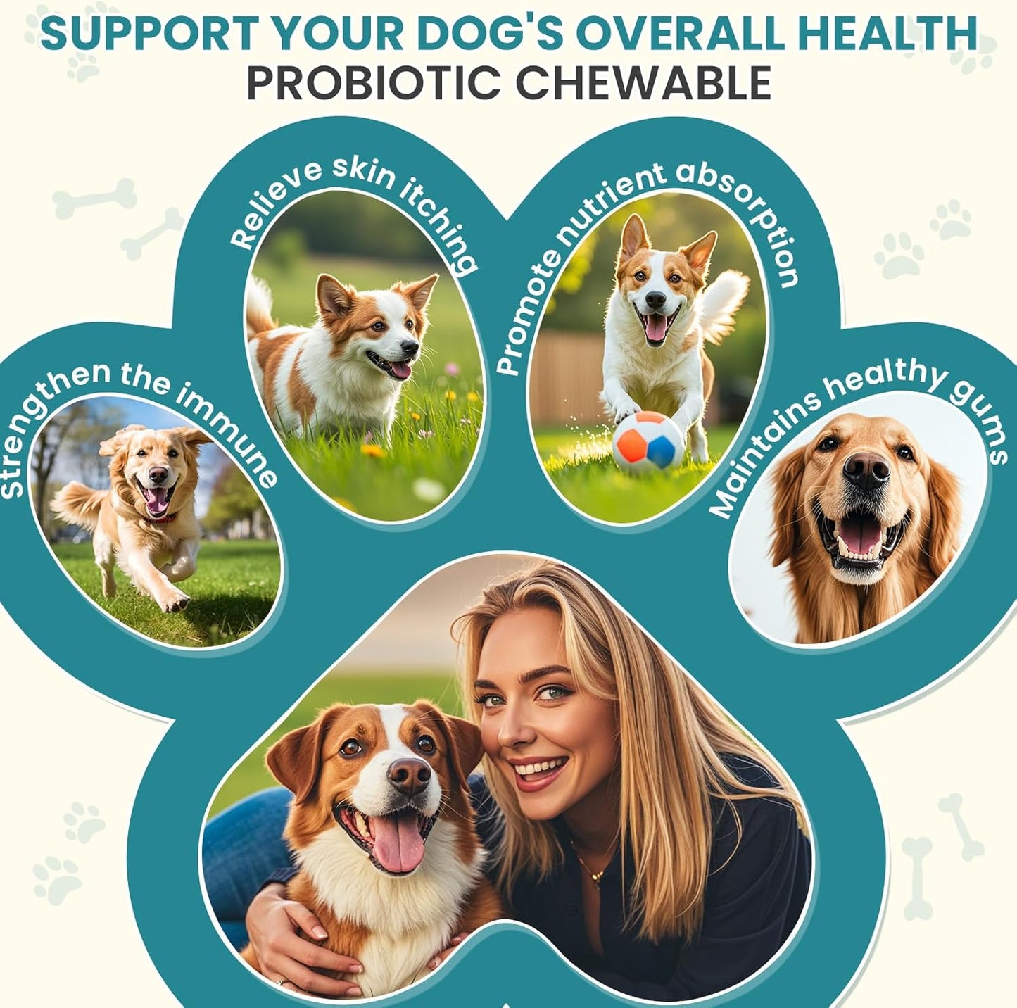Probiotics for Dogs Gut Digestive Health Probiotic Chew for Dogs Digestive Enzymes Relieve Diarrhea Immunity Oral Problems Itching Constipation Prebiotics Dog Probiotics 200 Tablets Chicken Flavor