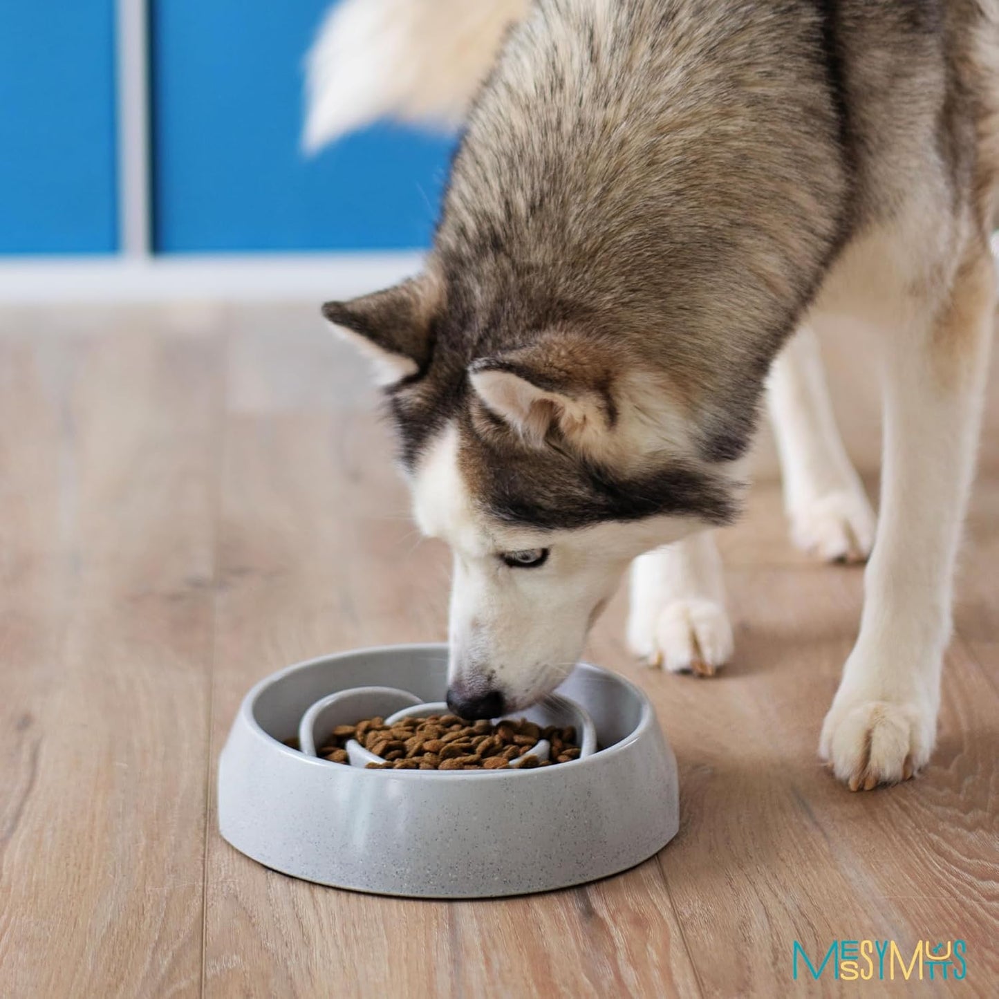 Messy Mutts and Cats Interactive Slow Feeder | Speckled Grey (3 Cup) | 9.8” Round Durable Puzzle Slow Feeder for Dogs/Cats | Enrichment Food Dish for Slow Eating, Bloating