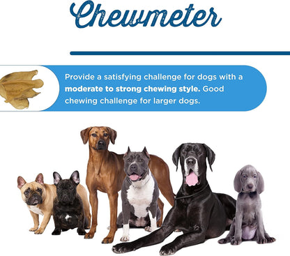 Best Bully Sticks Cow Ears for Dogs - 15 Count (Pack of 1) - Natural, Free-Range Grass-Fed, Single Ingredient, High Protein, Easily Digestible, Great for Various Breeds