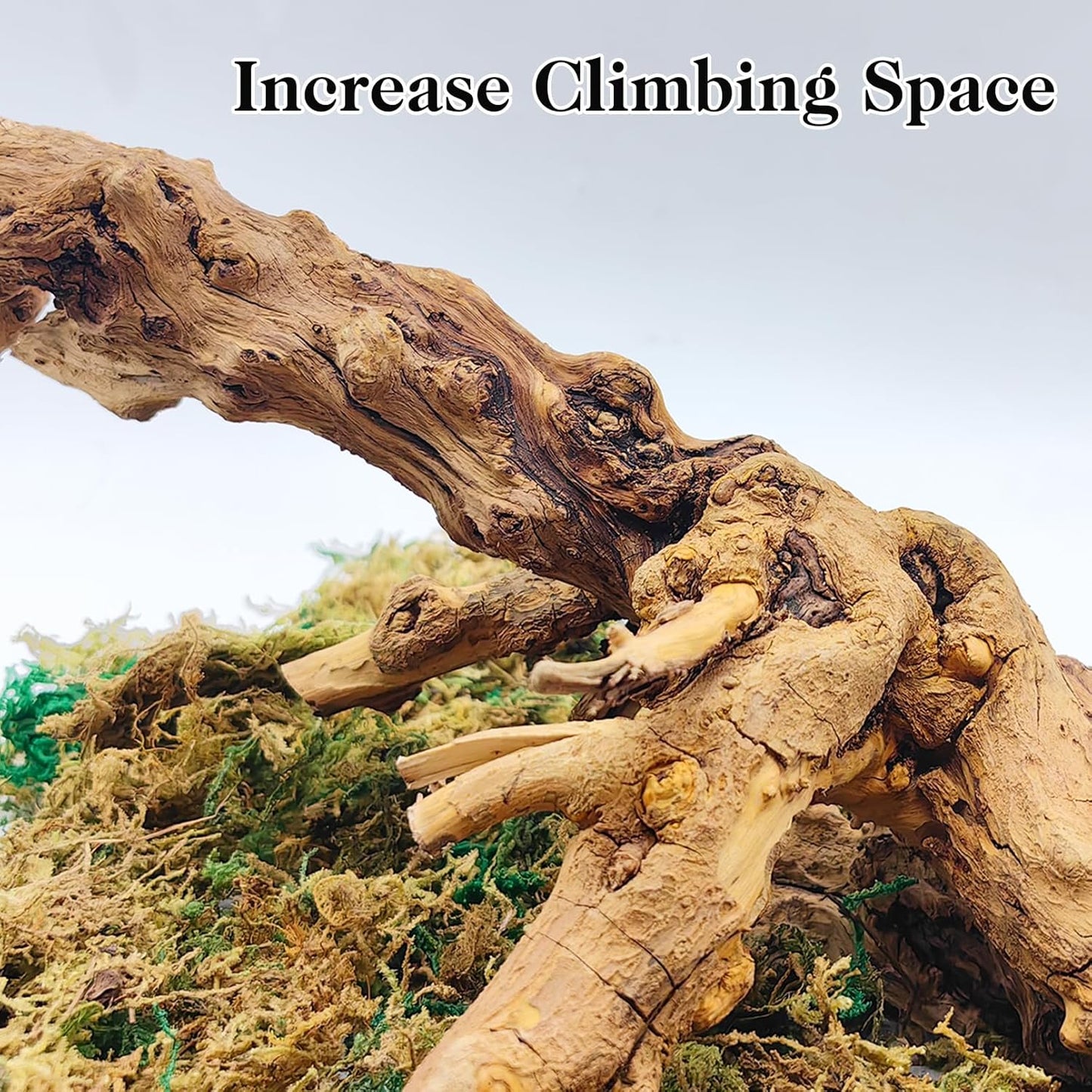 VCEPJH 2 Pack Reptile Wood Branches, Snake Climbing Branch Natural Bearded Dragon Log and 4 Pcs Reptile Plants, Climbing Wood Branch Terrarium Hanging Fake Plant Leaves for Snake Leopard Gecko Lizard