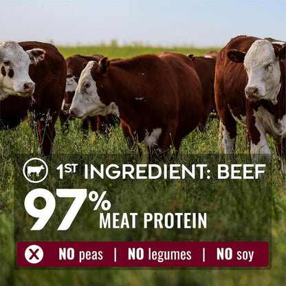 NATURE'S LOGIC Pure Naturals™ 100% Natural Grain-Free Beef Recipe Synthetic-Free Dry Dog Food, 24 lbs