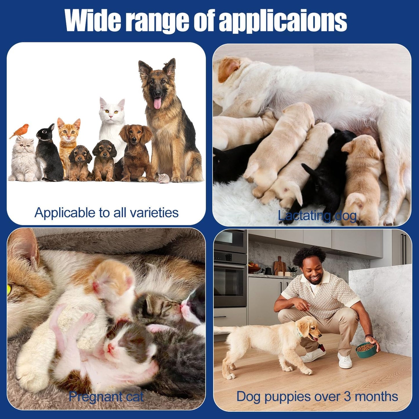 JoanofArc Pet Dog Wound Care Hydro Gel&Dog Hot Spot Gel -Cat Healing Aid for Wounds,Helps with Cuts,Bites,Ulcers & Burns,Relieves Skin Allergies& Itchy Skin,Dog First Aid Kits, 20ml x 2 Pack