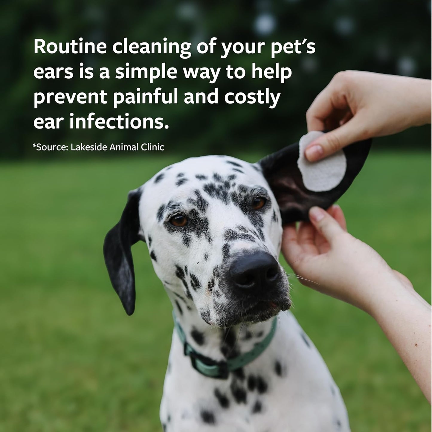 Veterinary Formula Clinical Care Ear Therapy, 4 oz. – Cat and Dog Ear Cleaner to Help Soothe Itchiness and Cleans The Ear Canal from Debris and Buildup That May Cause Infection