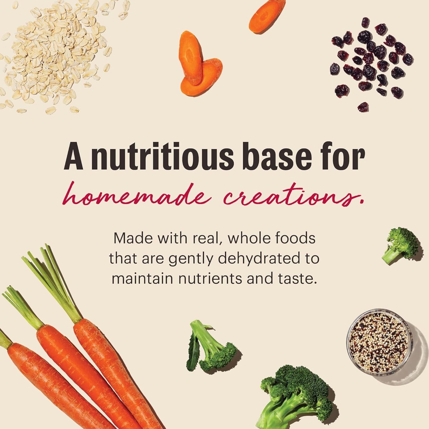 The Honest Kitchen Wholemade™ Dehydrated Whole Grain, Veggie & Fruit Base Mix Dog Food (Just Add Protein), 7 lb Box