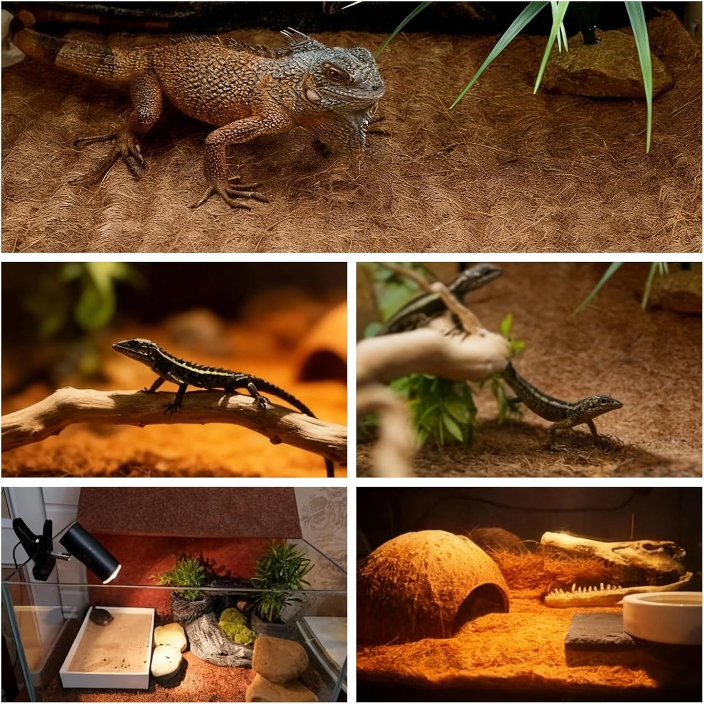 6-Pack Natural Coconut Fiber Reptile Carpet, 12x12 Inch Eco-Friendly Terrarium Liner & Bedding for Lizard, Snake, Turtle, Tortoise, Bunny Habitat