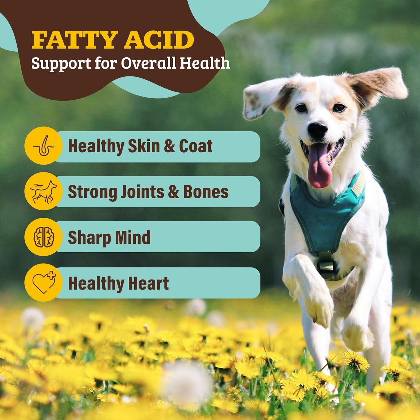 Natural Dog Company Multivitamin Chews & Super Seeds Food Topper Bundle – Daily Dog Supplement for Skin, Coat, Immunity & Nutrition – Peanut Butter Chews (90 ct) + Omega Superfood Topper (8 oz)