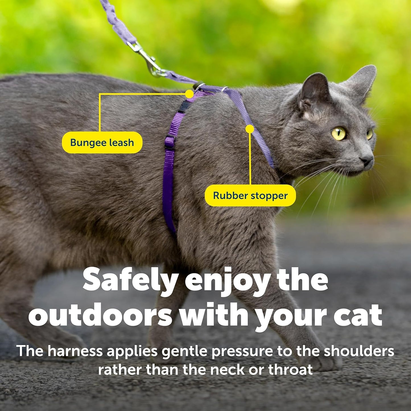 PetSafe Come with Me Kitty Cat Harness & Bungee Leash - Comfortable No-Choke Harness with Lightweight Bungee Leash for Outdoor Fun - Escape Free Pulling Prevention - Medium - Lilac