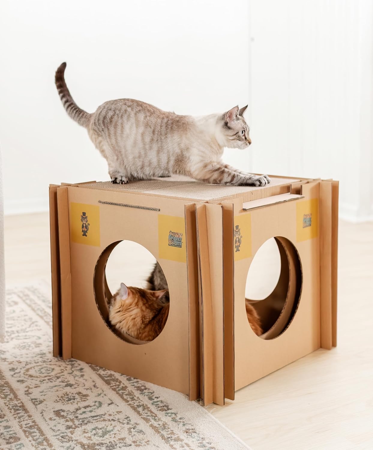 Mister’s Favorite Cat Scratcher & Hideaway House – XL Cardboard Jungle Gym & Cat houses for Large Cats & Chonky Cats – Indoor Kitty Playhouse, Cat Condo, Pet Bed, Cat Furniture, Scratch Pad & Cat Cave