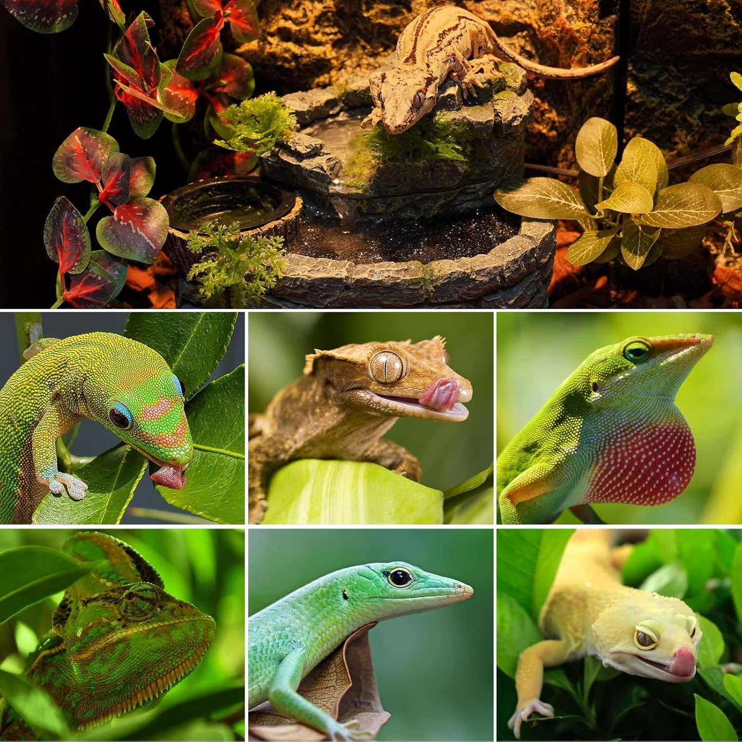 REPTI ZOO Reptile Water Fountain with Food Dish, 550ML Terrarium Waterfall Drinking Fountain for Bearded Dragon Gecko Chameleon Lizard Tree Frog Turtle, Reptile Water Dispenser, Keep Water Clear