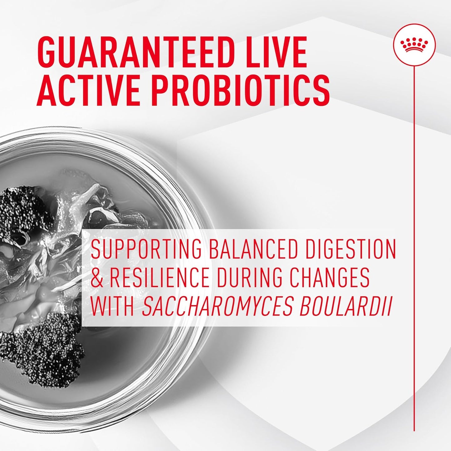 Royal Canin Probiotics for Dogs Digestive and Immune Health Powder Supplement for Dogs of All Ages, 30 Count